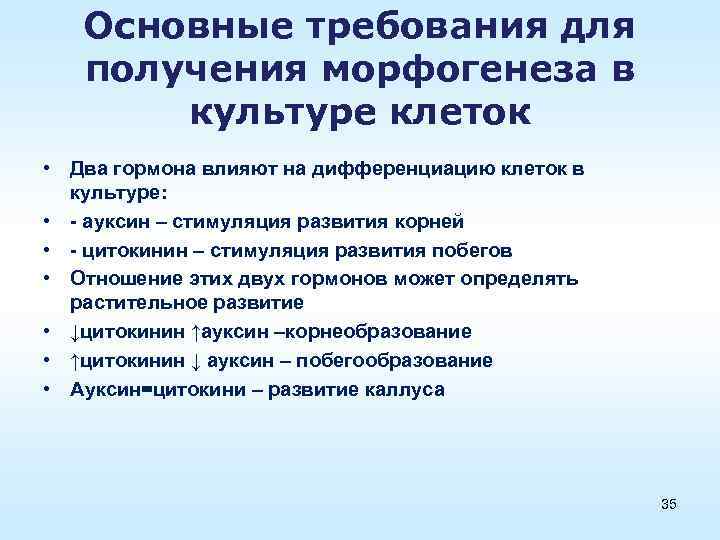 Основные требования для получения морфогенеза в культуре клеток • Два гормона влияют на дифференциацию