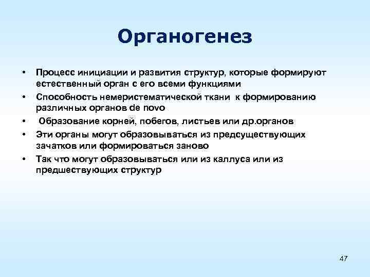 Органогенез. Процессы органогенеза. Органогенез суть процесса. Кратко о стадии органогенез.