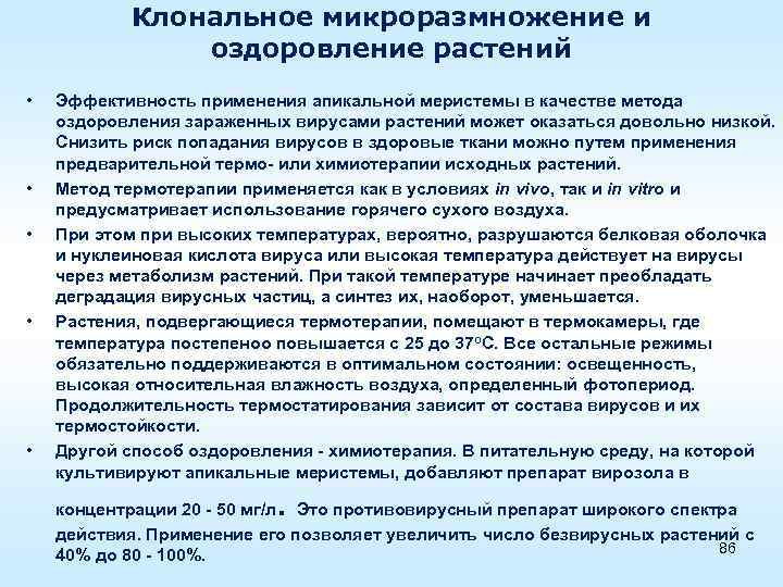 Клональное микроразмножение и оздоровление растений • • • Эффективность применения апикальной меристемы в качестве