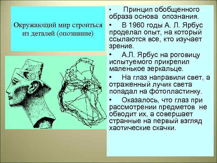 Обобщенный образ. Ярбус Альфред Лукьянович. Ярбус а л. Альфред ярбус эксперимент. Опыт ярбуса.