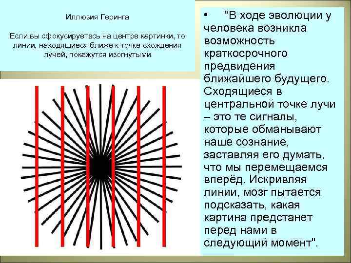 Иллюзия Геринга Если вы сфокусируетесь на центре картинки, то линии, находящиеся ближе к точке
