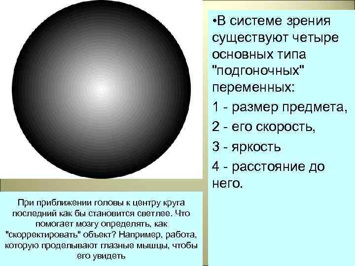  • В системе зрения существуют четыре основных типа 
