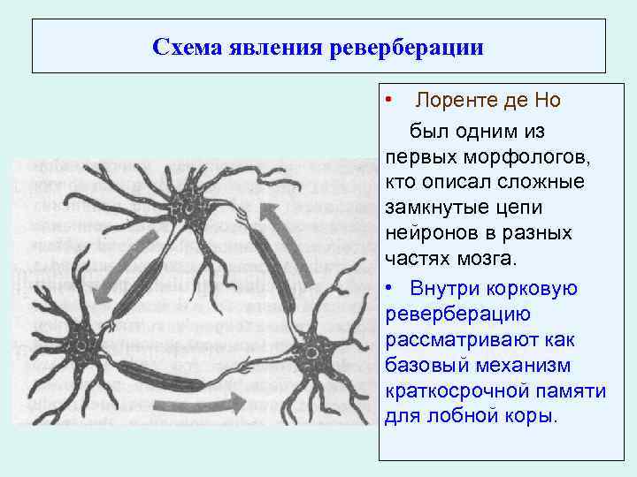 Этот немой язык интереснейшее явление схема