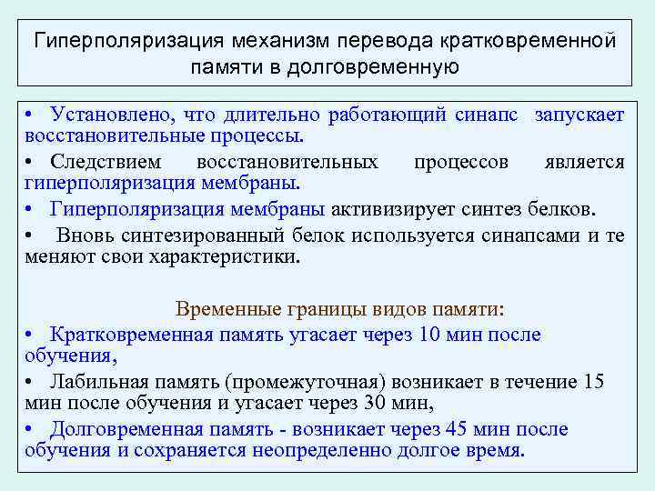 Гиперполяризация механизм перевода кратковременной памяти в долговременную • Установлено, что длительно работающий синапс запускает
