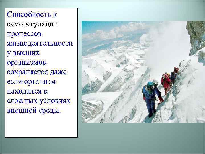 Способность к саморегуляции процессов жизнедеятельности у высших организмов сохраняется даже если организм находится в