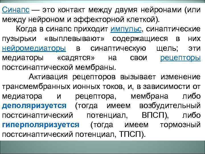 Синапс — это контакт между двумя нейронами (или между нейроном и эффекторной клеткой). Когда