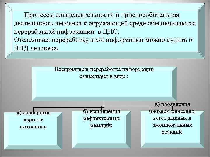 Процессы жизнедеятельности и приспособительная деятельность человека к окружающей среде обеспечиваются переработкой информации в ЦНС.