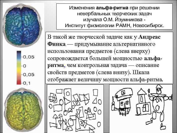 Изменения альфа-ритма при решении невербальных творческих задач изучала О. М. Йзумникова Институт физиологии РAMH,