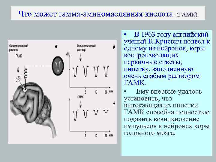 Тормозные медиаторы. Гамма аминомаслянная кислота. ГАМК тормозной медиатор. Эндогенные медиаторы торможения.