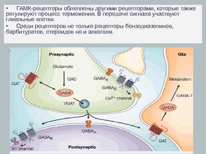 Механизм действия гамк схема