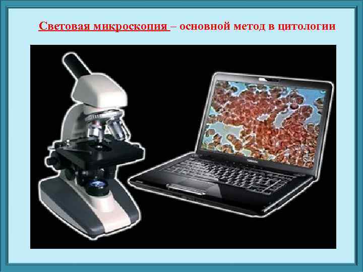    Метод микрохирургии применяется для исследования живых клеток, для выяснения функций отдельных