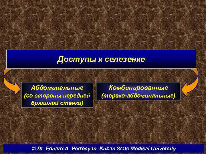 Доступы к селезенке Абдоминальные Комбинированные (со стороны передней брюшной стенки) (торако-абдоминальные) © Dr. Eduard