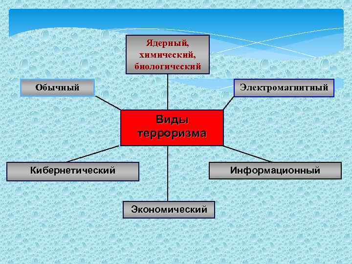 Террористические акции с применением биологических поражающих агентов (БПА) Основные особенности применения БПА при террористических