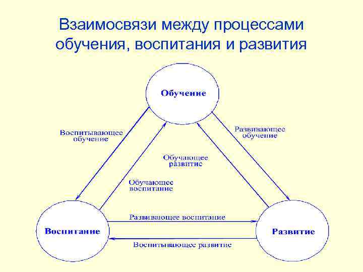 Взаимосвязи между процессами обучения, воспитания и развития 