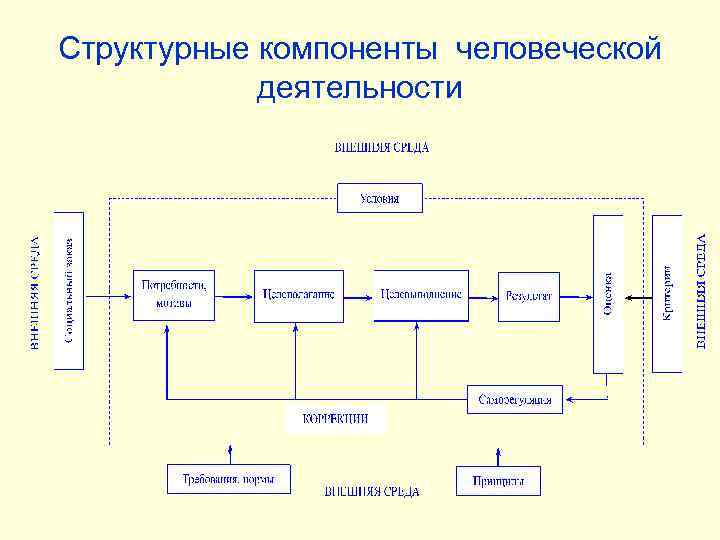 Структурные компоненты человеческой деятельности 
