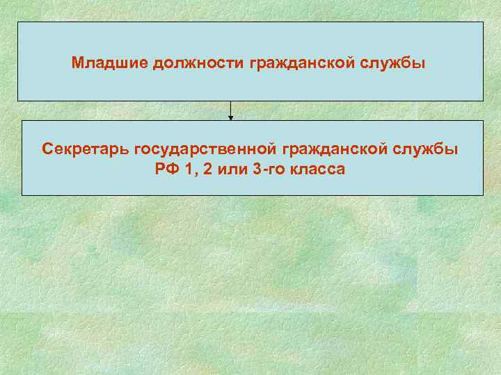 Младшие должности гражданской службы Секретарь государственной гражданской службы РФ 1, 2 или 3 го