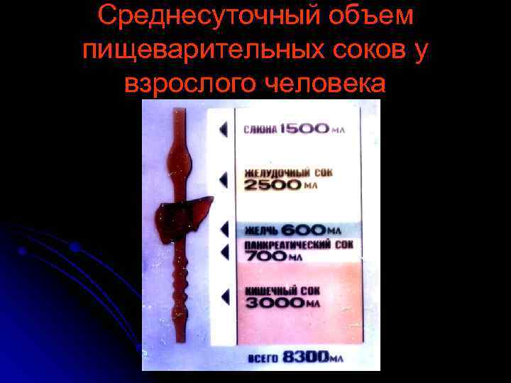 Среднесуточный объем пищеварительных соков у взрослого человека 