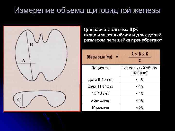 Измерение объема щитовидной железы Для расчета объема ЩЖ складываются объемы двух долей; размером перешейка