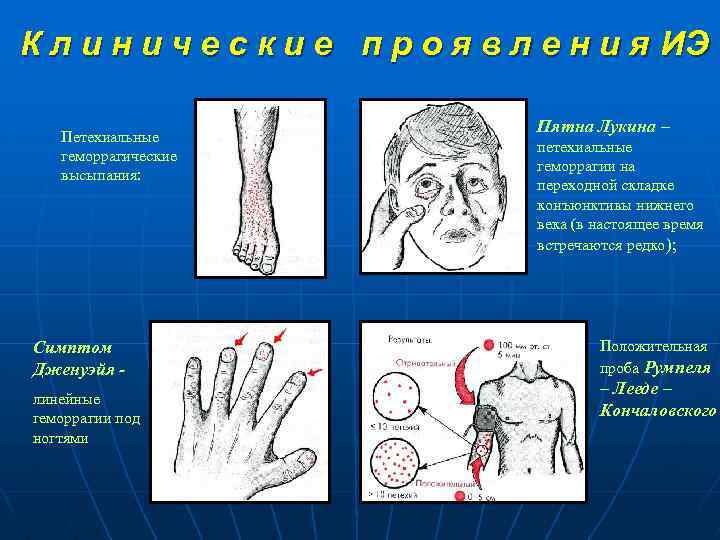 К л и н и ч е с к и е п р о