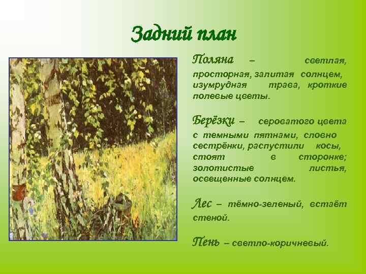 Задний план Поляна – светлая, просторная, залитая солнцем, изумрудная трава, кроткие полевые цветы. Берёзки