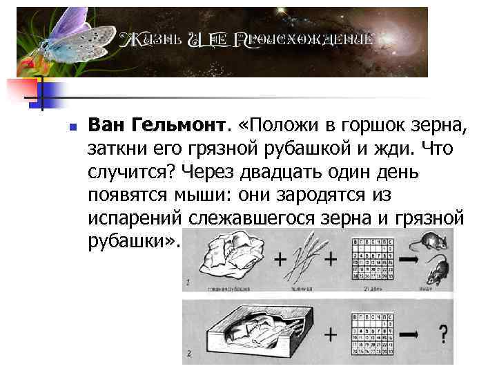 n Ван Гельмонт. «Положи в горшок зерна, заткни его грязной рубашкой и жди. Что