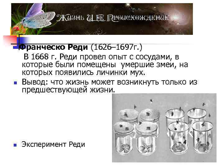 Франческо Реди (1626– 1697 г. ) В 1668 г. Реди провел опыт с сосудами,