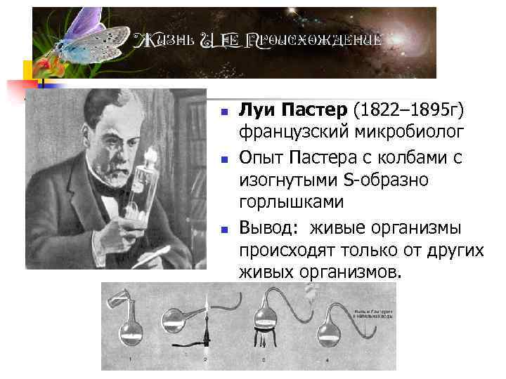 n n n Луи Пастер (1822– 1895 г) французский микробиолог Опыт Пастера с колбами