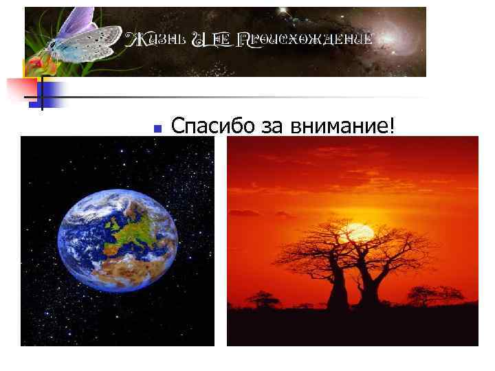 n Спасибо за внимание! 