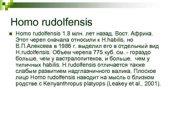 Homo rudolfensis n Homo rudolfensis 1. 8 млн. лет назад, Вост. Африка. Этот череп