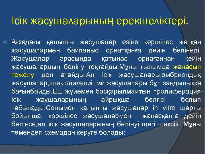 Ісік жасушаларының ерекшеліктері. Ағзадағы қалыпты жасушалар өзіне көршілес жатқан жасушалармен байланыс орнатқанға дейін бөлінеді.