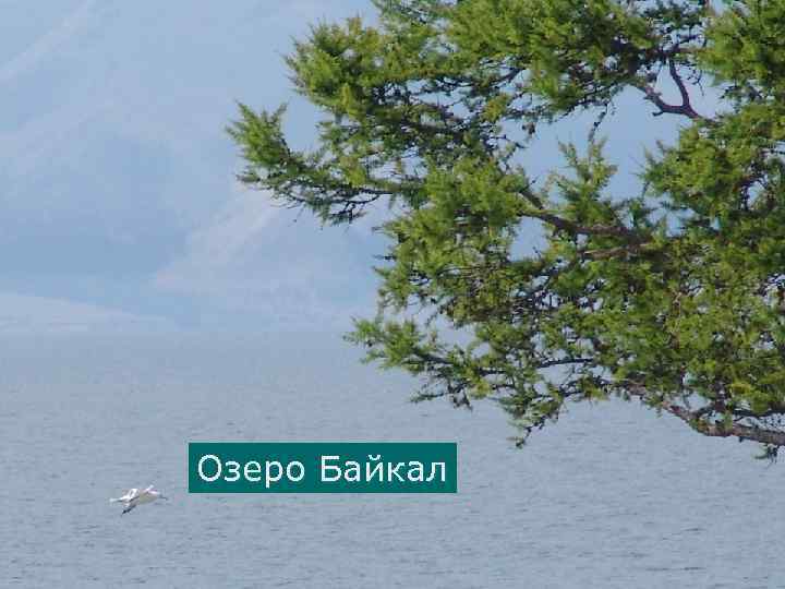 Озеро Байкал 