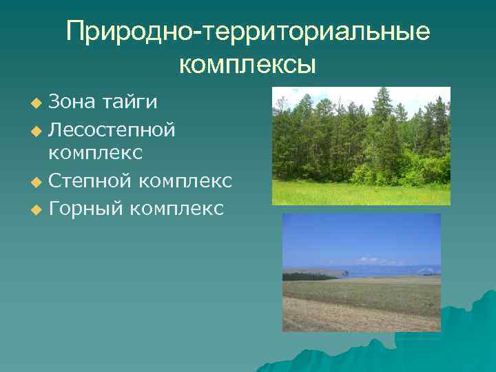 Природно территориальный комплекс тайга. Природный территориальный комплекс. Природные комплексы Иркутской области. Природные зоны Иркутской области.