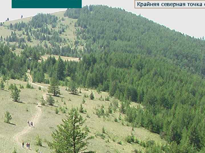 u. Лесостепной комплекс Крайняя северная точка о 