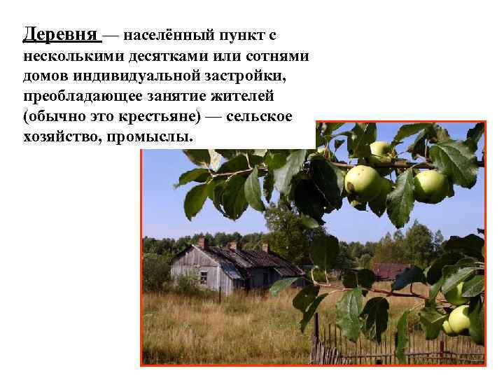 Деревня — населённый пункт с несколькими десятками или сотнями домов индивидуальной застройки, преобладающее занятие