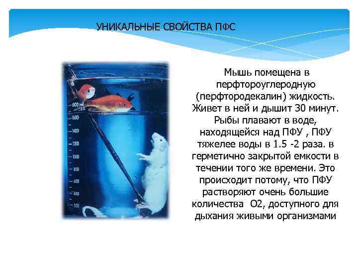 УНИКАЛЬНЫЕ СВОЙСТВА ПФС Мышь помещена в перфтороуглеродную (перфтородекалин) жидкость. Живет в ней и дышит