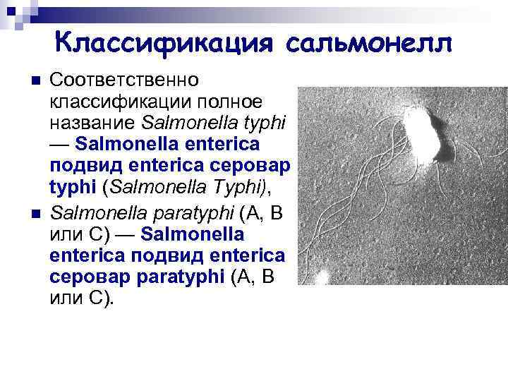 Классификация сальмонелл n n Соответственно классификации полное название Salmonella typhi — Salmonella enterica подвид