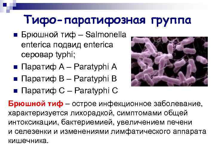 Тифо-паратифозная группа n n Брюшной тиф – Salmonella enterica подвид enterica серовар typhi; Паратиф