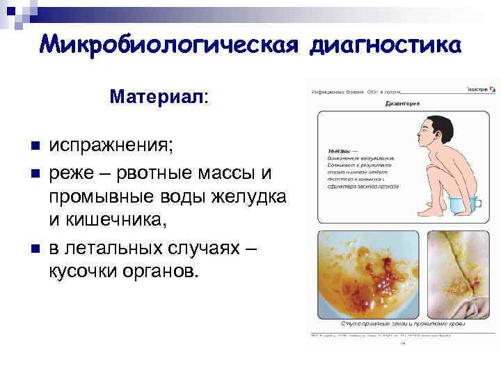 Микробиологическая диагностика Материал: n n n испражнения; реже – рвотные массы и промывные воды