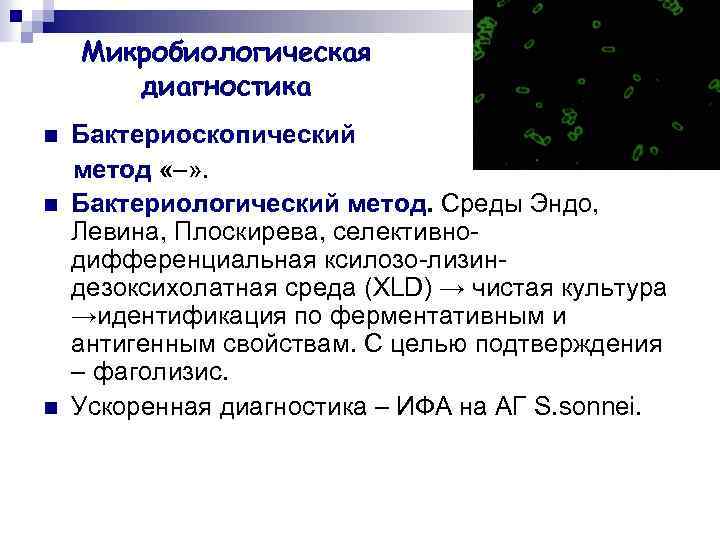Микробиологическая диагностика n n n Бактериоскопический метод «–» . Бактериологический метод. Среды Эндо, Левина,