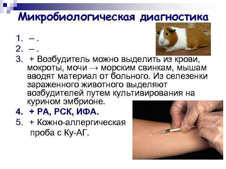 Микробиологическая диагностика 1. –. 2. –. 3. + Возбудитель можно выделить из крови, мокроты,