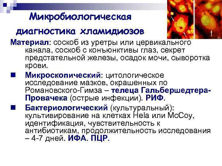 Микробиологическая диагностика хламидиозов Материал: соскоб из уретры или цервикального канала, соскоб с конъюнктивы глаз,