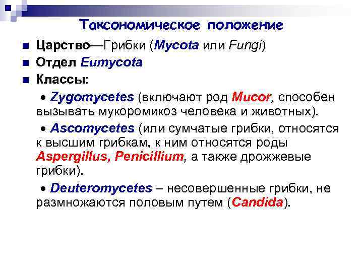 Таксономическое положение n n n Царство—Грибки (Mycota или Fungi) Отдел Eumycota Классы: Zygomycetes (включают