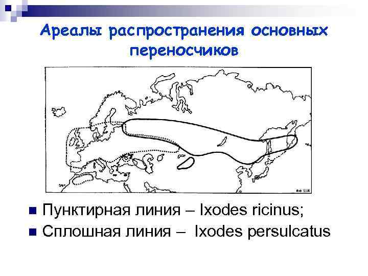 Ареалы распространения основных переносчиков Пунктирная линия – Ixodes ricinus; n Сплошная линия – Ixodes