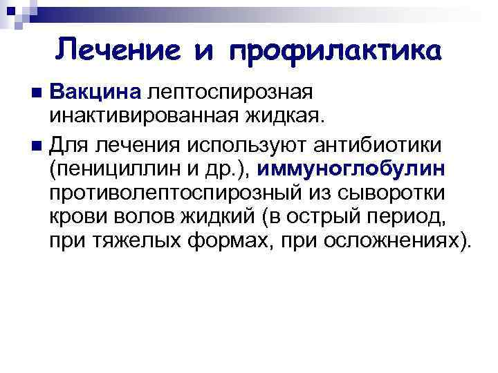 Лечение и профилактика Вакцина лептоспирозная инактивированная жидкая. n Для лечения используют антибиотики (пенициллин и