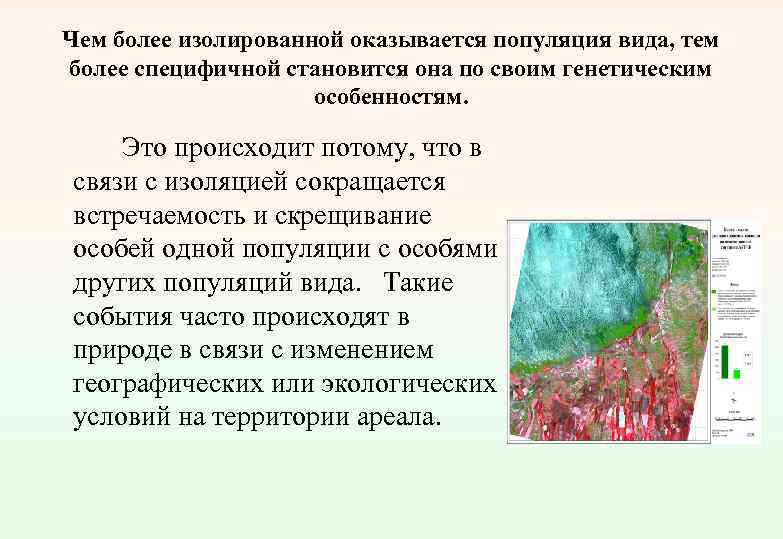 Чем более изолированной оказывается популяция вида, тем более специфичной становится она по своим генетическим