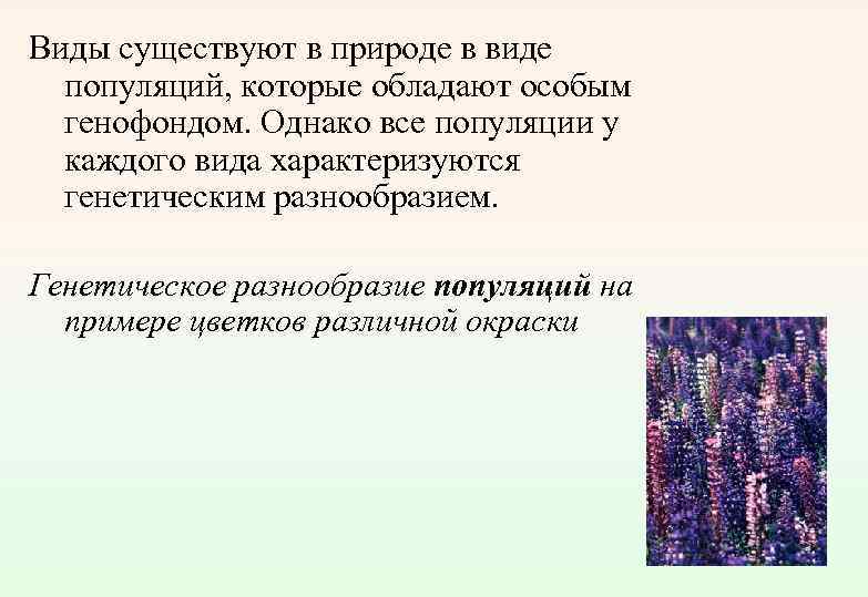 Виды существуют в природе в виде популяций, которые обладают особым генофондом. Однако все популяции