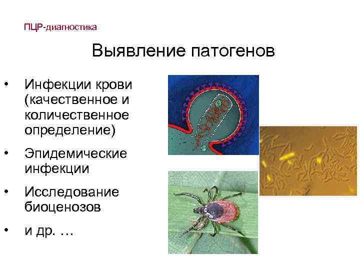 ПЦР-диагностика Выявление патогенов • Инфекции крови (качественное и количественное определение) • Эпидемические инфекции •