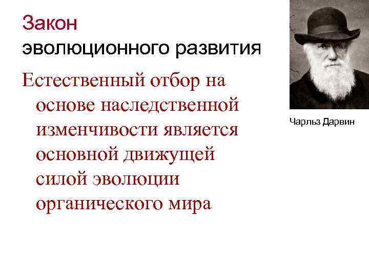 Закон дарвинизма. Закон эволюционного развития. Основные законы эволюции. Основные законы эволюции кратко. Основные законы биологической эволюции.