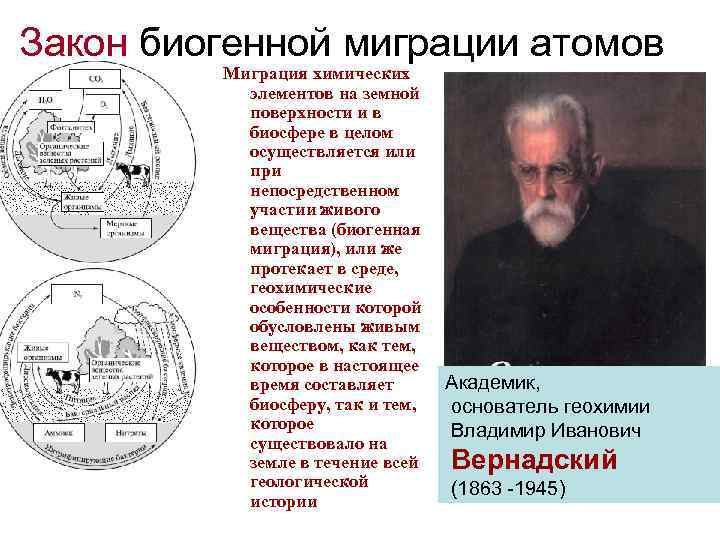 Биогенная миграция атомов уровень организации живой природы