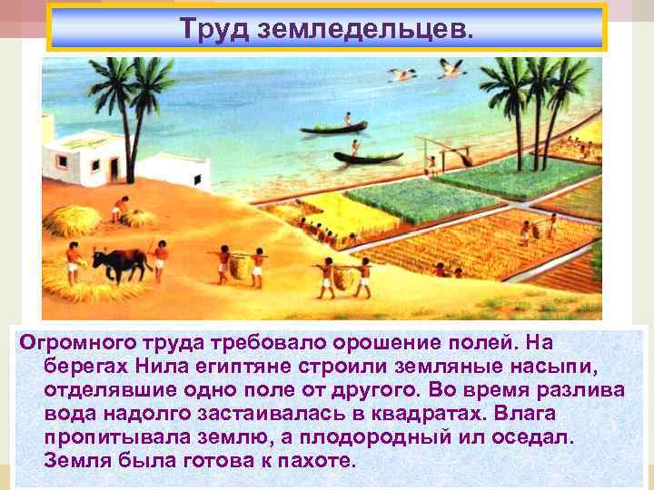 Труд земледельцев. Огромного труда требовало орошение полей. На берегах Нила египтяне строили земляные насыпи,